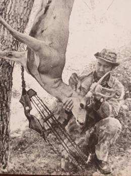 Bc record book mule deer